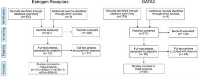 Association Between Estrogen Receptors and GATA3 in Bladder Cancer: A Systematic Review and Meta-Analysis of Their Clinicopathological Significance